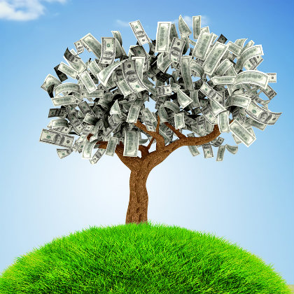 money growing on tree